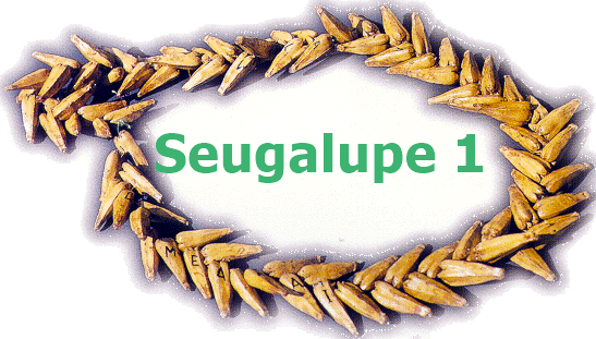 Upu e maua mai le faiva o le Seugalupe